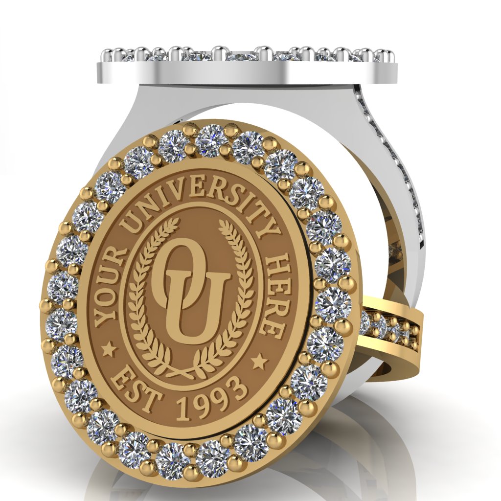 Circum Oval | Channel Core Band Custom Collage Ring