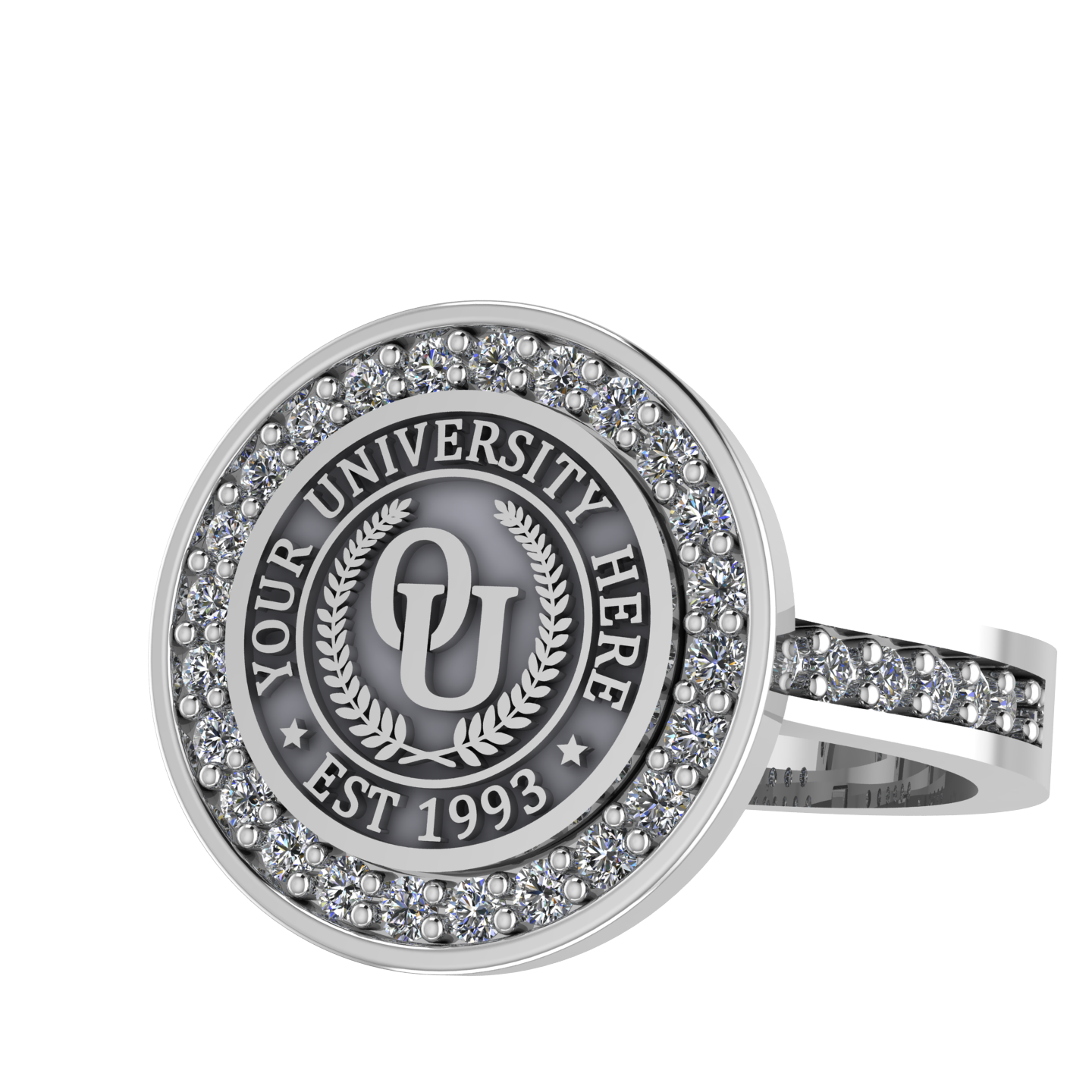 Agonisch | Channel Core Band Custom College Ring