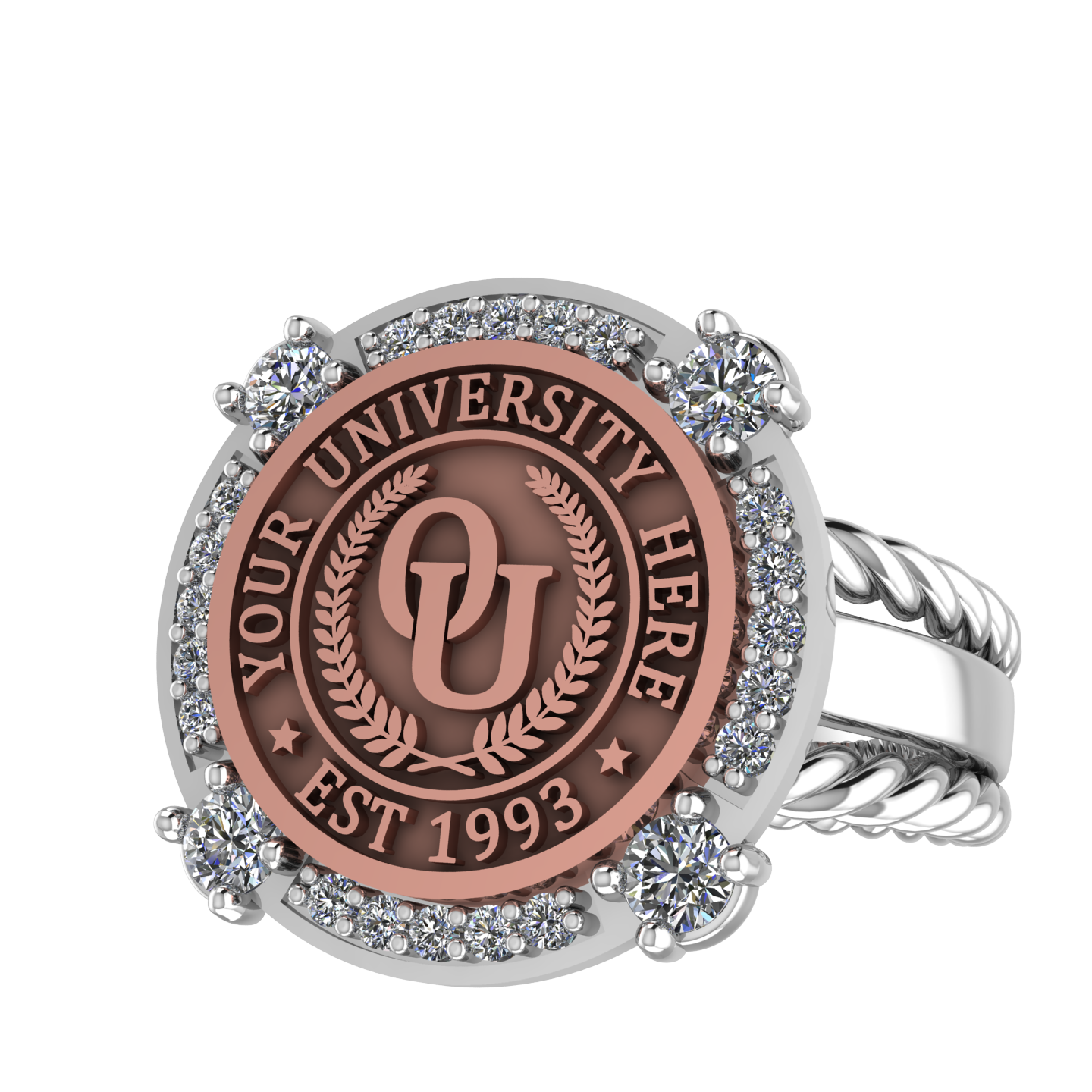 F-Sparkles | Rope Edge Band Custom College Ring