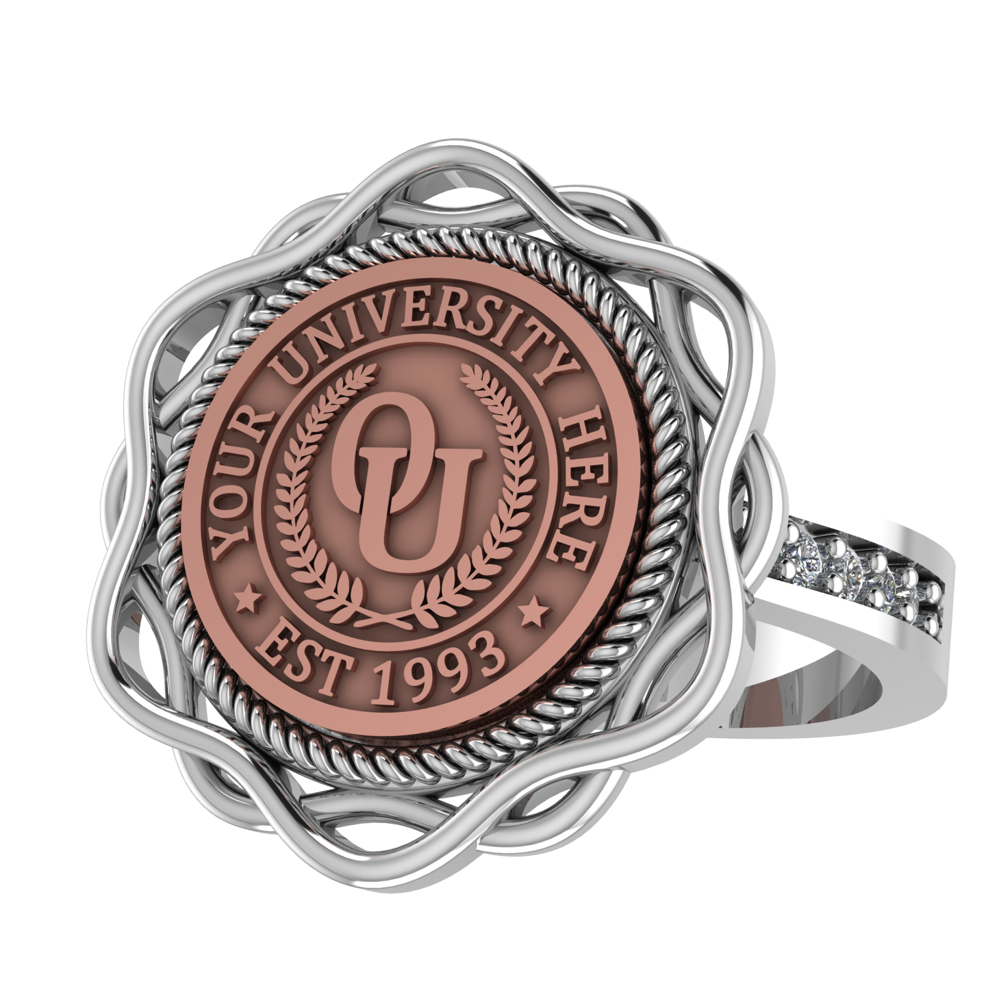 Slanga | Channel Core Band Custom College Ring