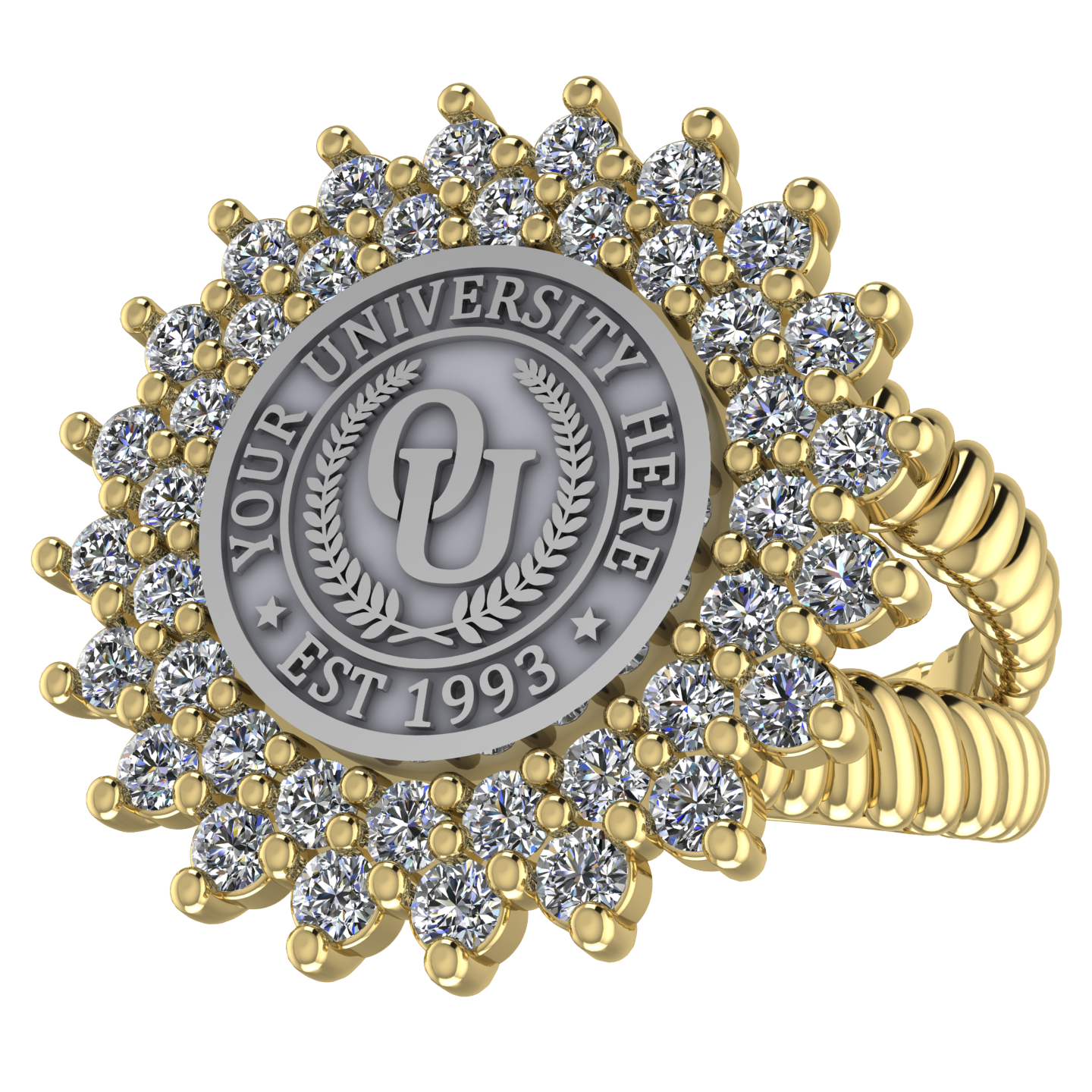 Splendid | V-Rope Band Custom Collage Ring